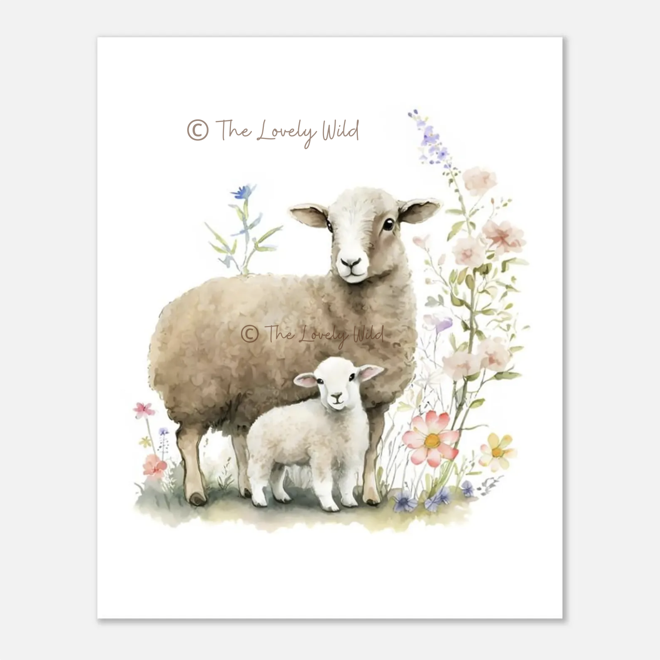Mother Sheep & Little Lamb - Premium Matte Paper Poster