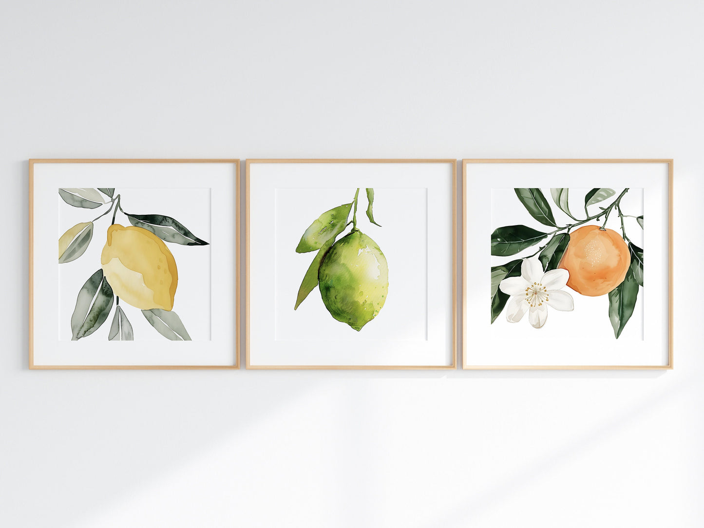 Watercolor Set of 3 Lemon Lime Orange Wall Art Cottagecore Botanical Illustration Print Nature Fruit Art Floral Citrus Food Digital Download