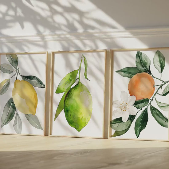 Watercolor Set of 3 Lemon Lime Orange Wall Art Cottagecore Botanical Illustration Print Nature Fruit Art Floral Citrus Food Digital Download